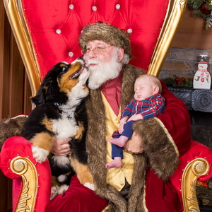 Rebecca Callahan-1214-282